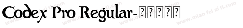 Codex Pro Regular字体转换